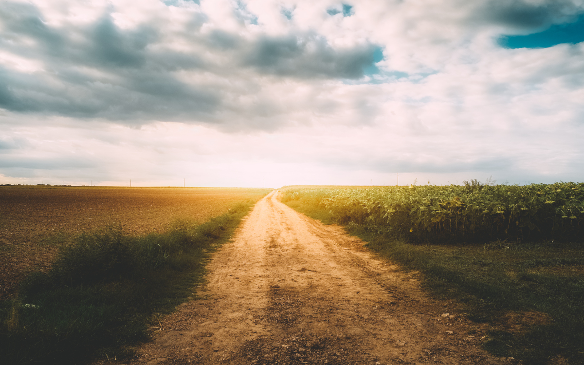 Is Now a Good Time to Buy Rural Land Near Hugo, Oklahoma?